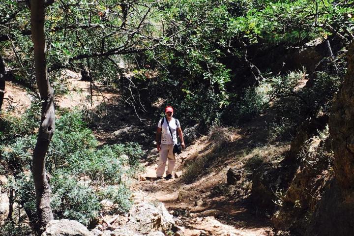 a man walking down a dirt trail
