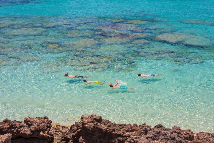 a group of people swimming in a body of water