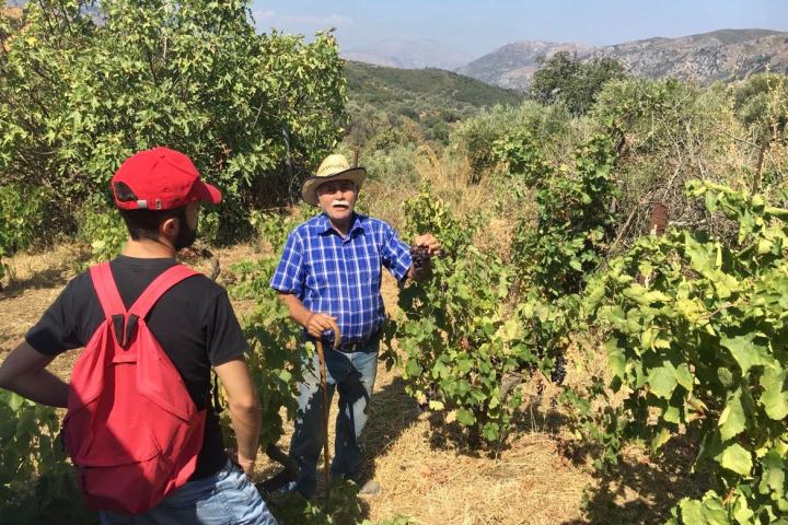 a group of people standing next to a tree